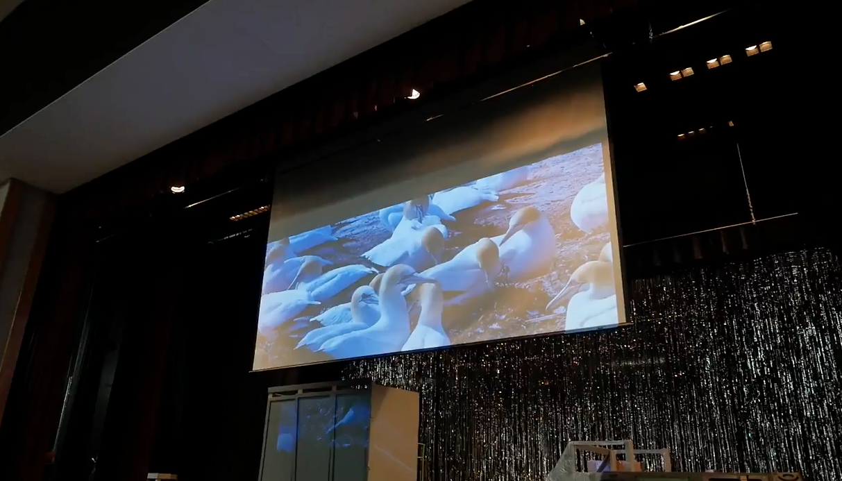 NJ Audio Visual Company for Schools